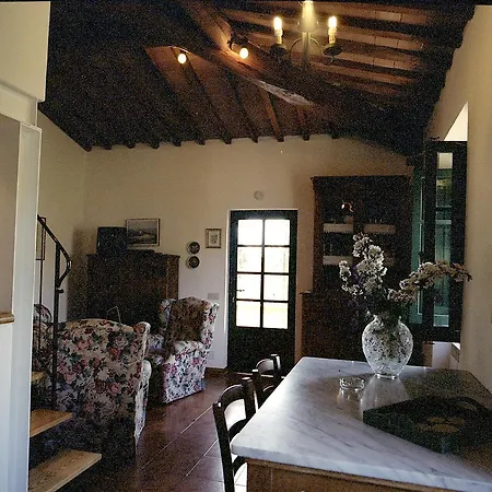 Podere Oliveta Gospodarstwo wiejskie *