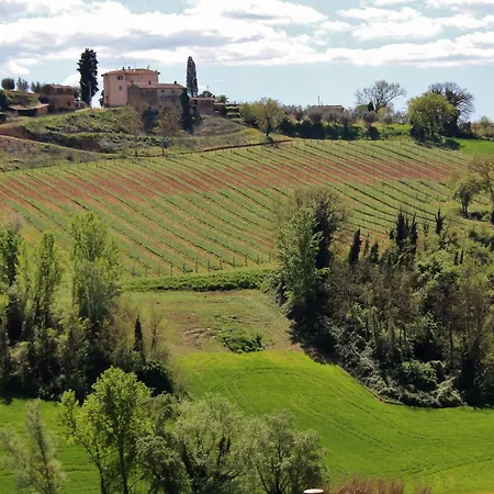 Εξοχικό σπίτι Podere Oliveta - 5 Con Piscina E Vista *