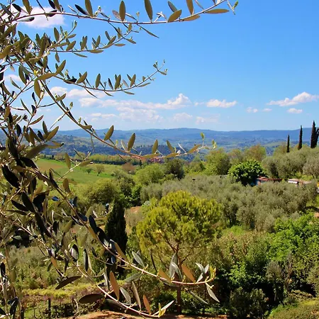 Podere Oliveta - 5 Con Piscina E Vista