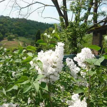 Podere Oliveta - 5 Con Piscina E Vista Εξοχικό σπίτι Poggibonsi