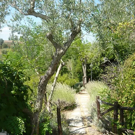 Εξοχικό σπίτι Podere Oliveta - 5 Con Piscina E Vista