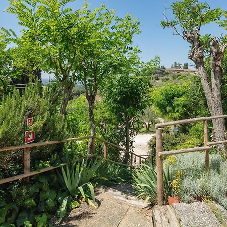Podere Oliveta - 5 Con Piscina E Vista * Poggibonsi