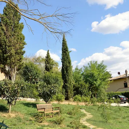 Podere Oliveta - 5 Con Piscina E Vista *
