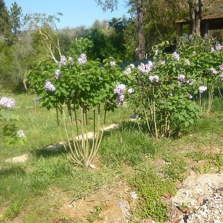 Podere Oliveta - 5 Con Piscina E Vista * Poggibonsi