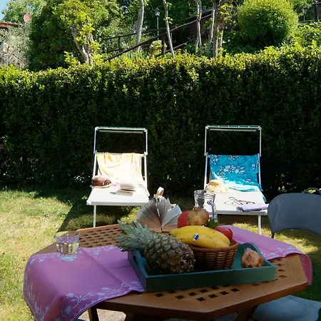 Podere Oliveta - 5 Con Piscina E Vista * Poggibonsi