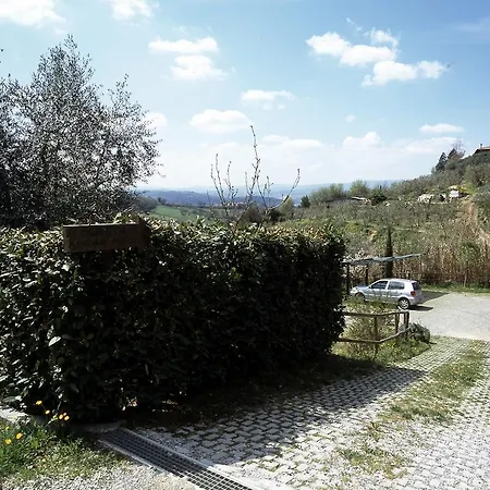 Podere Oliveta