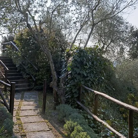 Podere Oliveta
