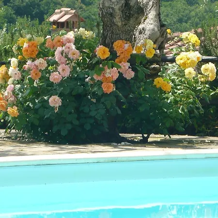 Podere Oliveta *