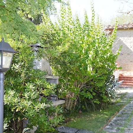Podere Oliveta Country house
