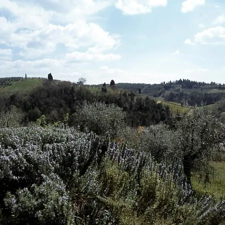 Podere Oliveta Poggibonsi